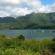 35- La baie vue de l'est 